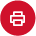 Print Icon